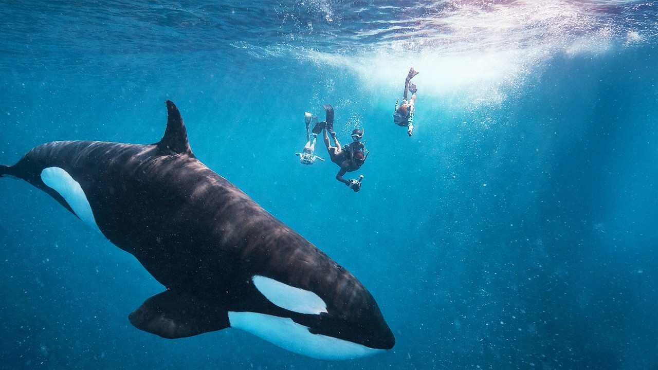 WHAT IS #1 ON OUR BUCKET LIST?? IT FINALLY HAPPENED!!