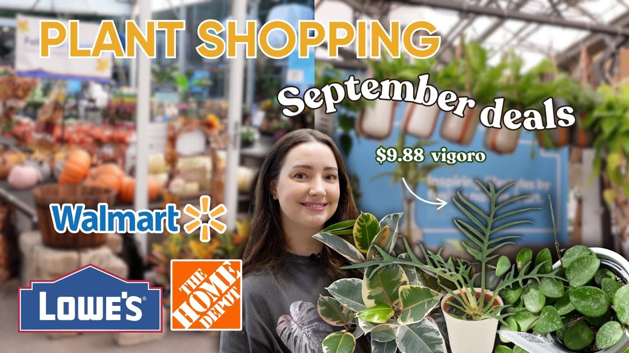 Houseplant Shopping at 3 Big Box Stores 🌱 New Finds September 2025