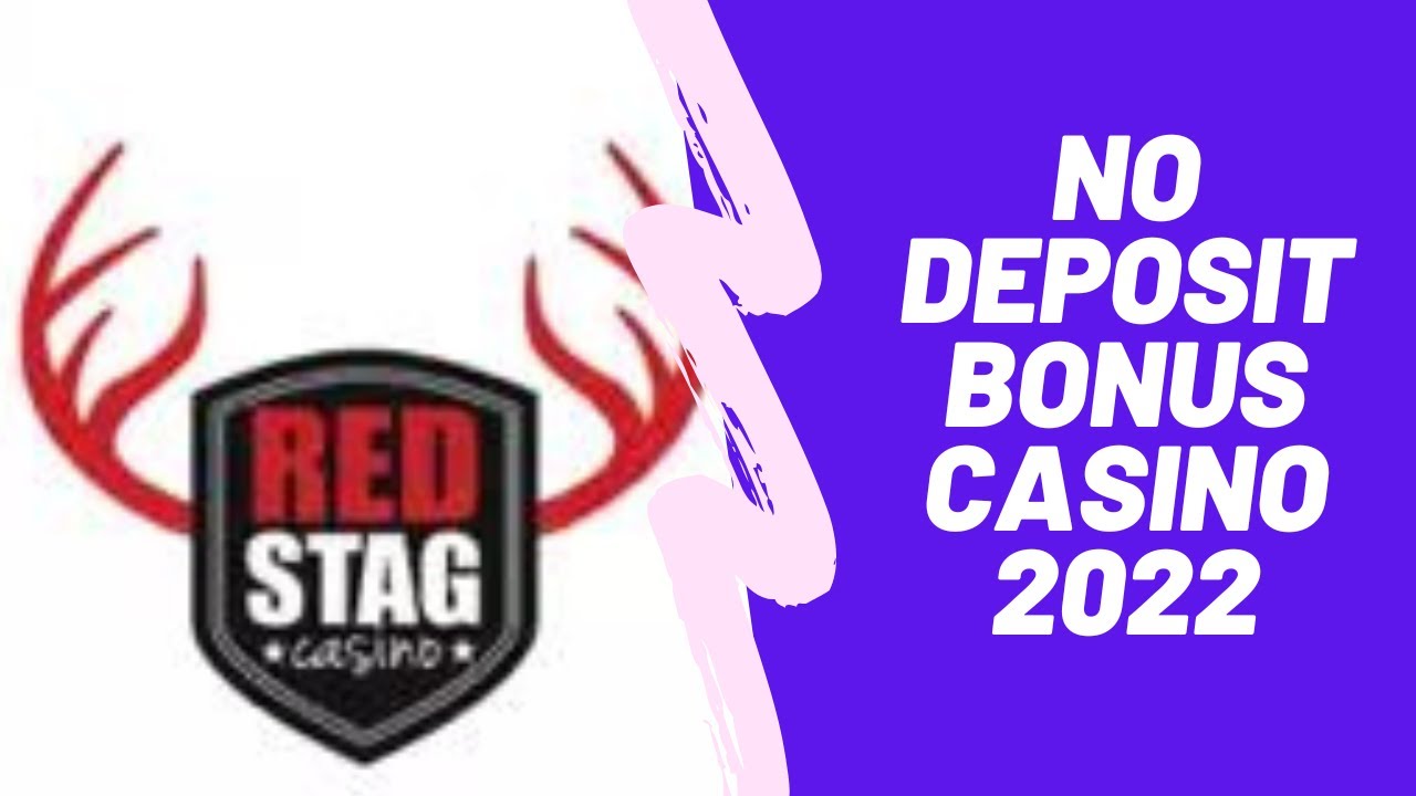 No Deposit Bonus Casino 2022 | Red Stag Casino