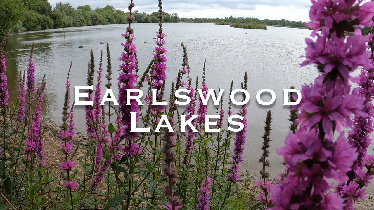 Earlswood Lakes, Warwickshire | Exploring England