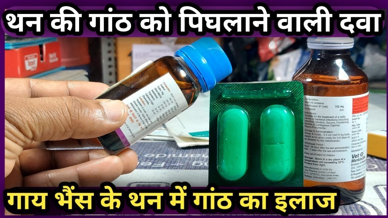 थन की गांठ को पिघलाने वाली दवा💊गाय भैंस के थन में गांठ का इलाज 👉Than ki ganth ka illaj