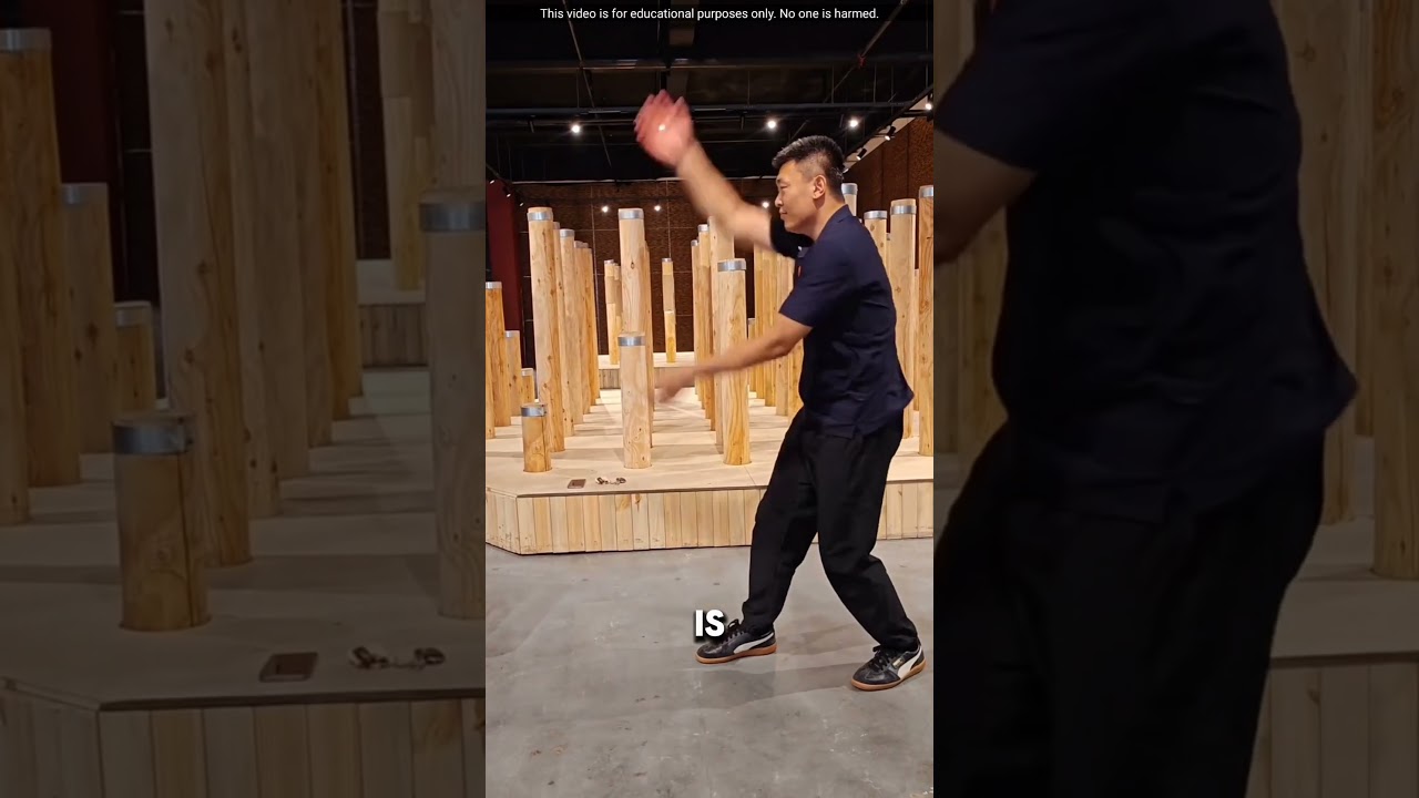 Tongbei Quan &ndash; A Dangerous Traditional Kung Fu of China
