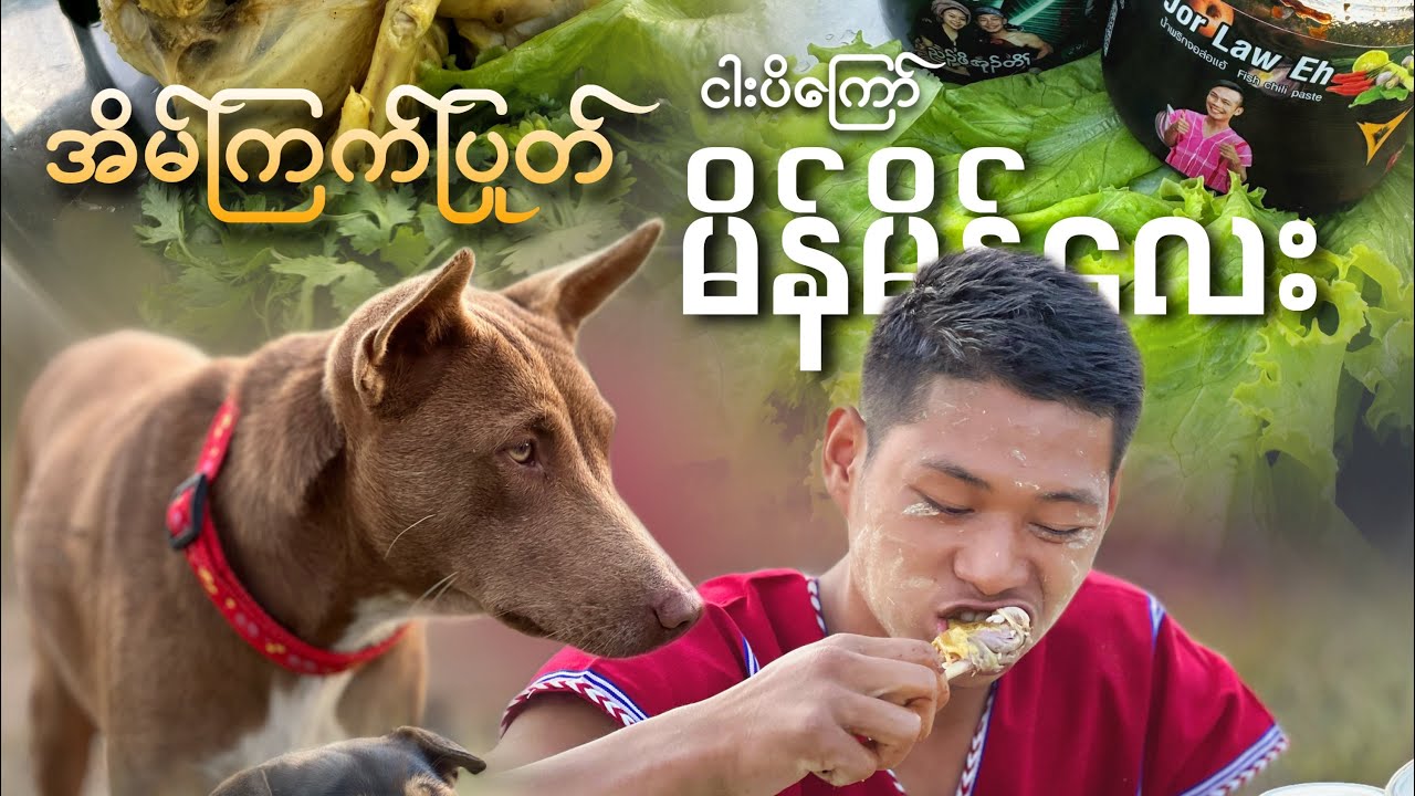 မိန်မိန်လေး
