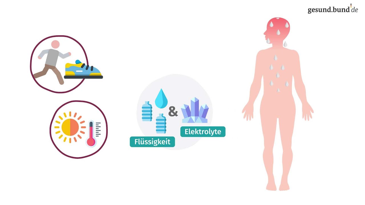 Warum sind Elektrolyte wichtig?