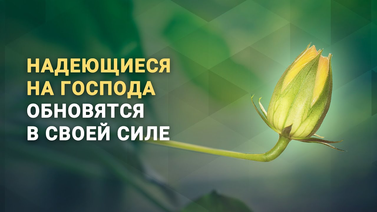 Надеющиеся на Господа обновятся в силе &ndash;  богослужение с Дэнис Реннер на IGNC