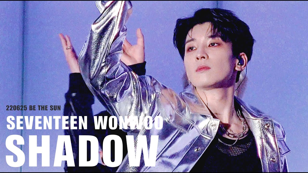 [FACECAM] 220625 세븐틴 원우 BE THE SUN 콘서트 SHADOW 직캠 4K