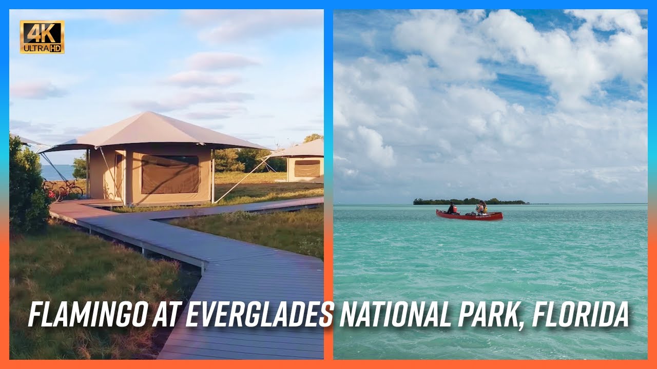 A Weekend In Flamingo Everglades National Park in 4K✨