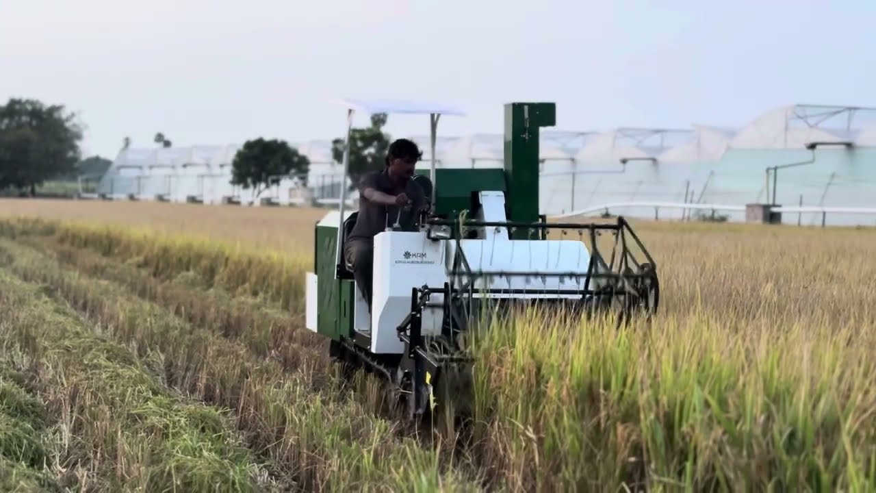 KAM Mini Combine Harvester 25HP (PADDY )#harvest #harvester#farmer #farming #agriculture #hardwork 