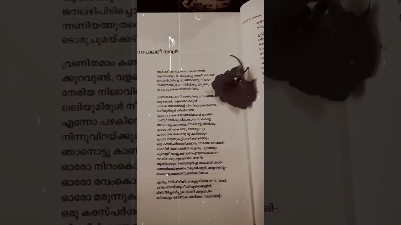 സഫലമീ യാത്ര❤️