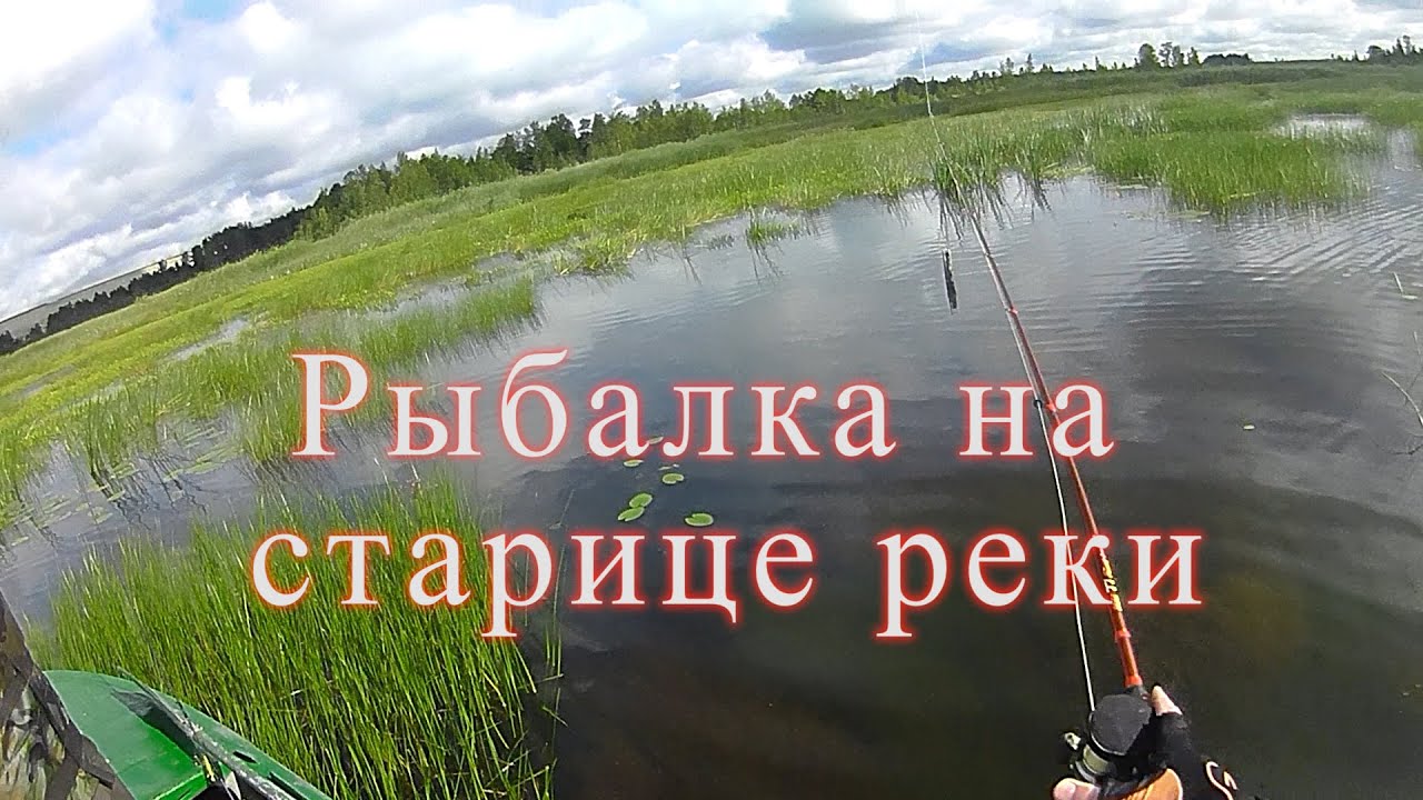 Рыбалка на старице реки. Ловля в траве.