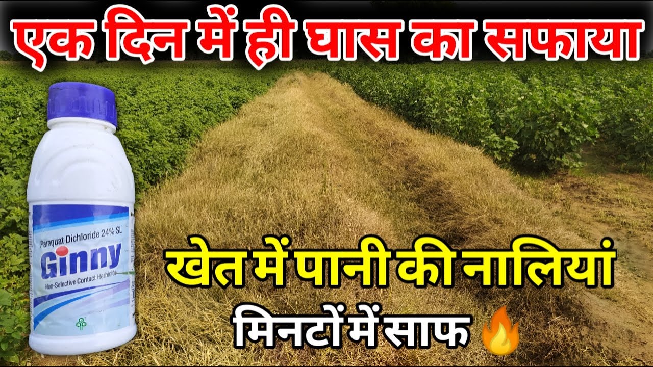 Non selective contact or systemic Herbicide | 24 घंटे में खरपतवार का जड़ से खात्मा Top Herbicide