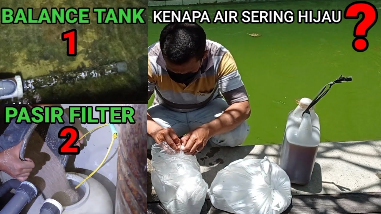 Cara membeningkan Air kolam renang yang sering hijau