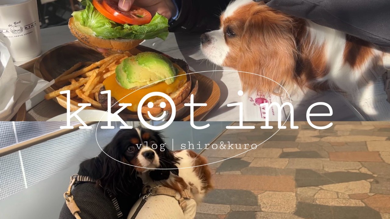 [Vlog]愛犬2匹と軽井沢🚗ペットOKのお店でランチを食べてお買い物🛍️