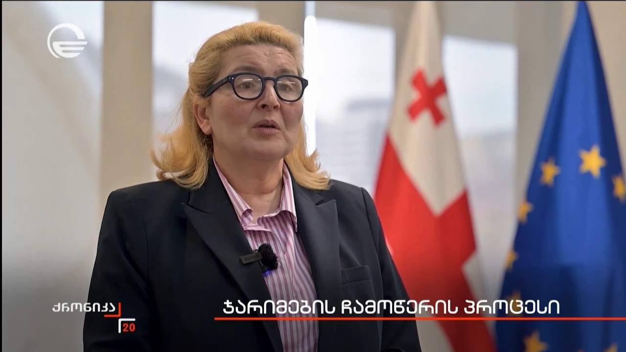 ჯარიმების ჩამოწერის პროცესი