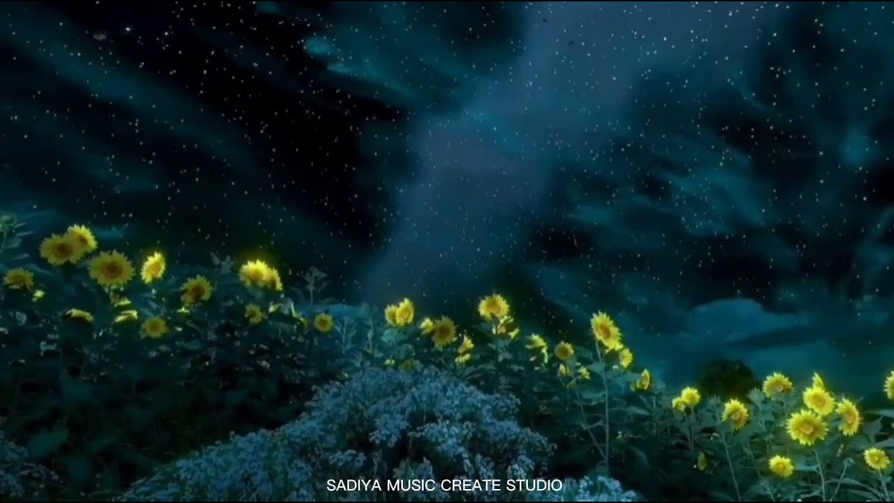 (පිණිබිදු  වැටෙනා  සීතල  යාමේ ) @sadiyamusiccreate  #viral  sadiya music create studio 