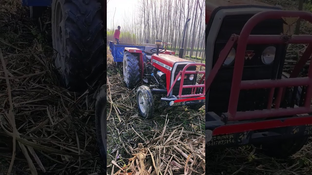 Farming #agriculture #kisana #travel #farming #farmer #masseyferguson #gannakisan