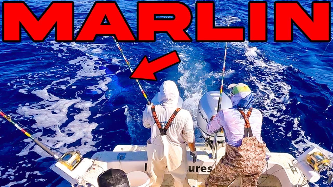 Giant Marlin + 1,000 Pounds of Fish & I Got Gaffed in the H...
