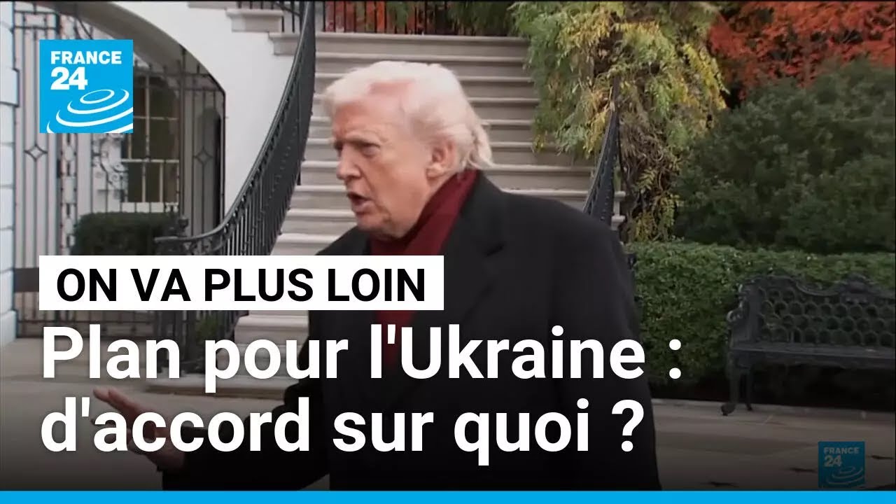 Plan de paix pour l'Ukraine : d'accord sur quoi ? &bull; FRANCE 24