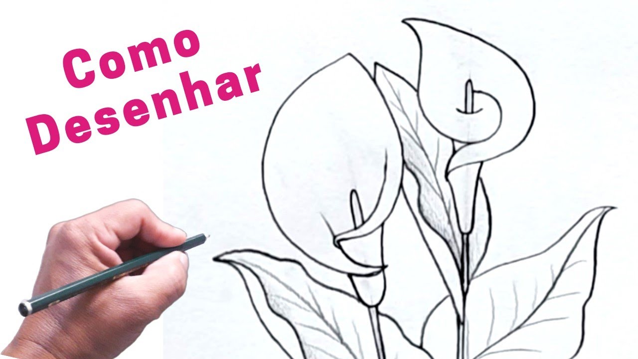 Como Desenhar Flores copo de leite - Risco de flores