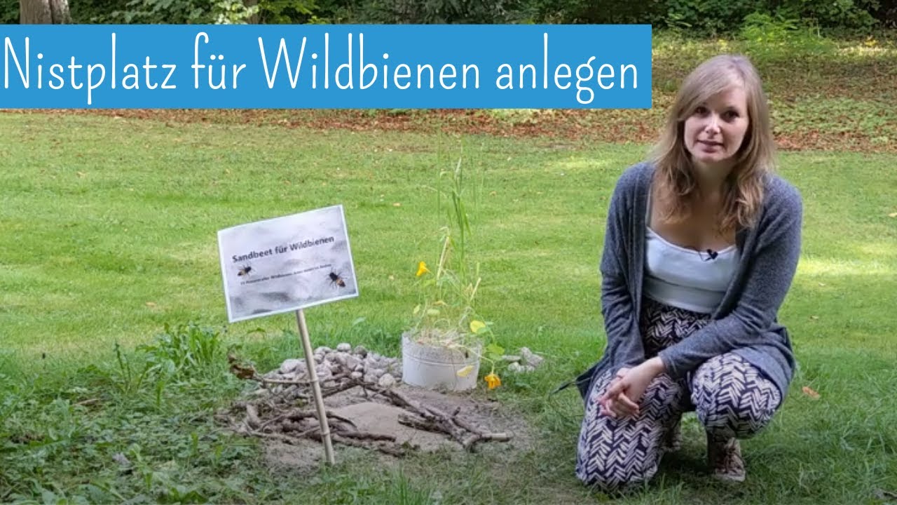 Sandbeet für Wildbienen anlegen