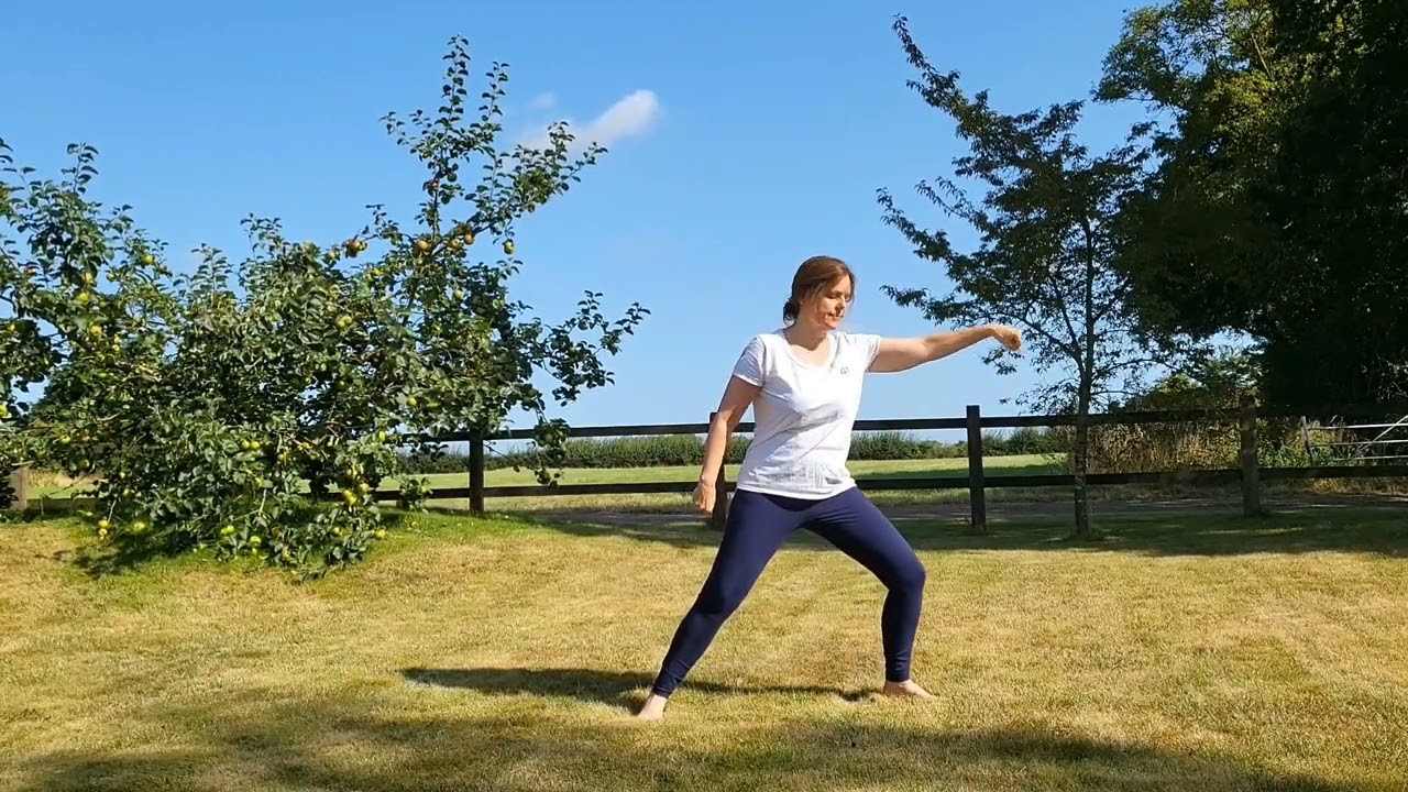 Qigong for Stomach, Spleen & Pancreas