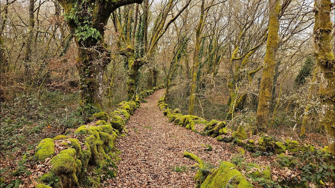 RUTA CIRCULAR POR BAÑOS DE MOLGAS (OURENSE)