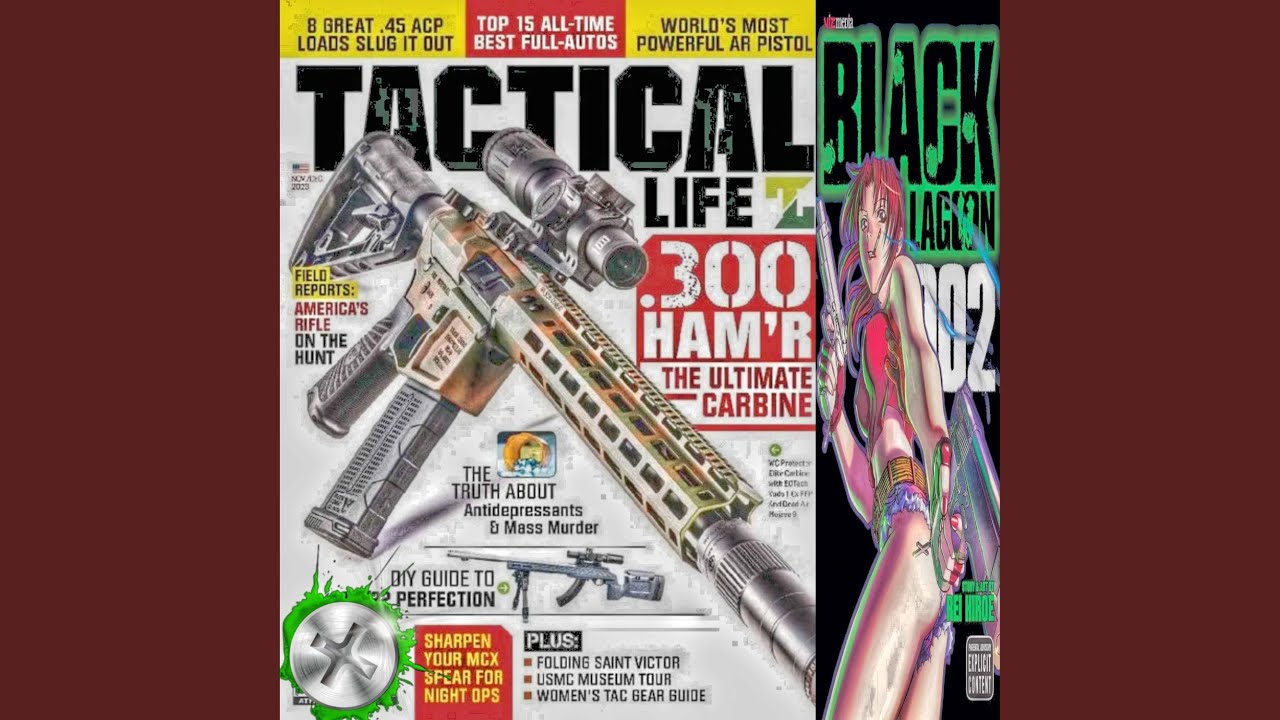 revista