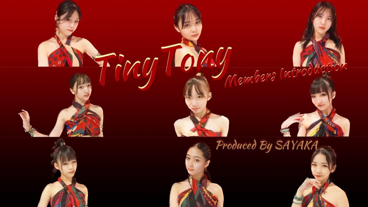 【Tiny Tony】Members Introduction メンバー紹介