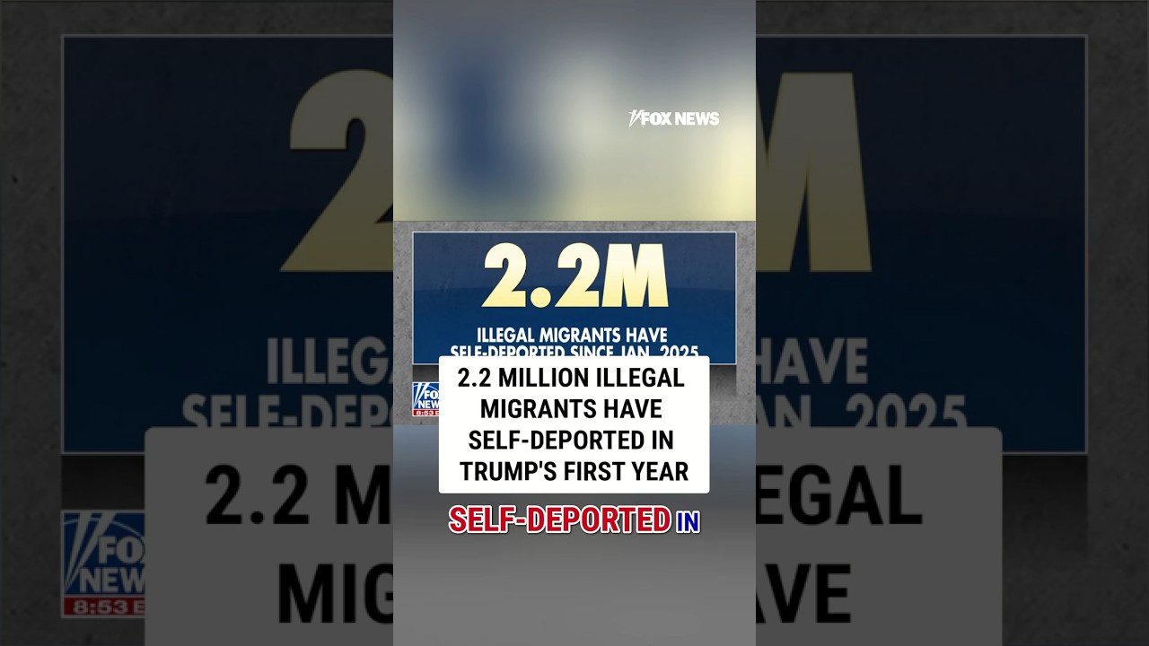 2.2 MILLION Illegal migrants have self-deported in the past year #foxnews #news #us #fox