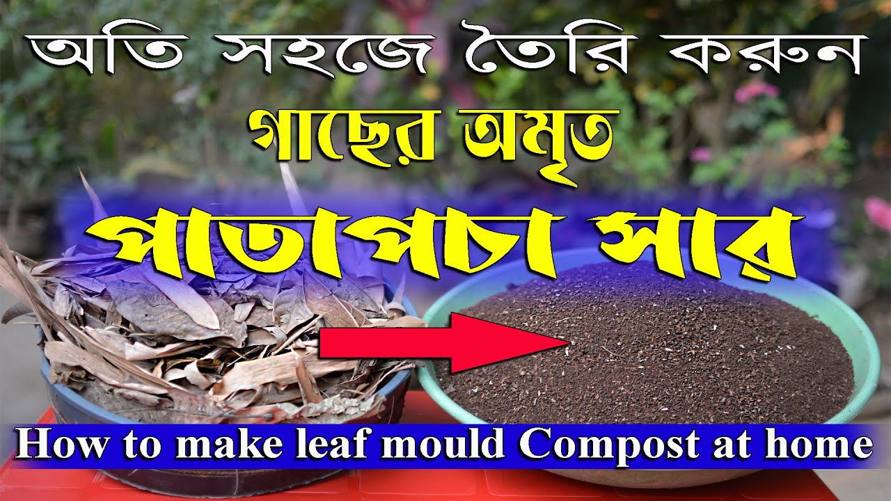 অতি সহজে তৈরি করুন পাতাপচা সার ! How to make leaf mould compost at home!