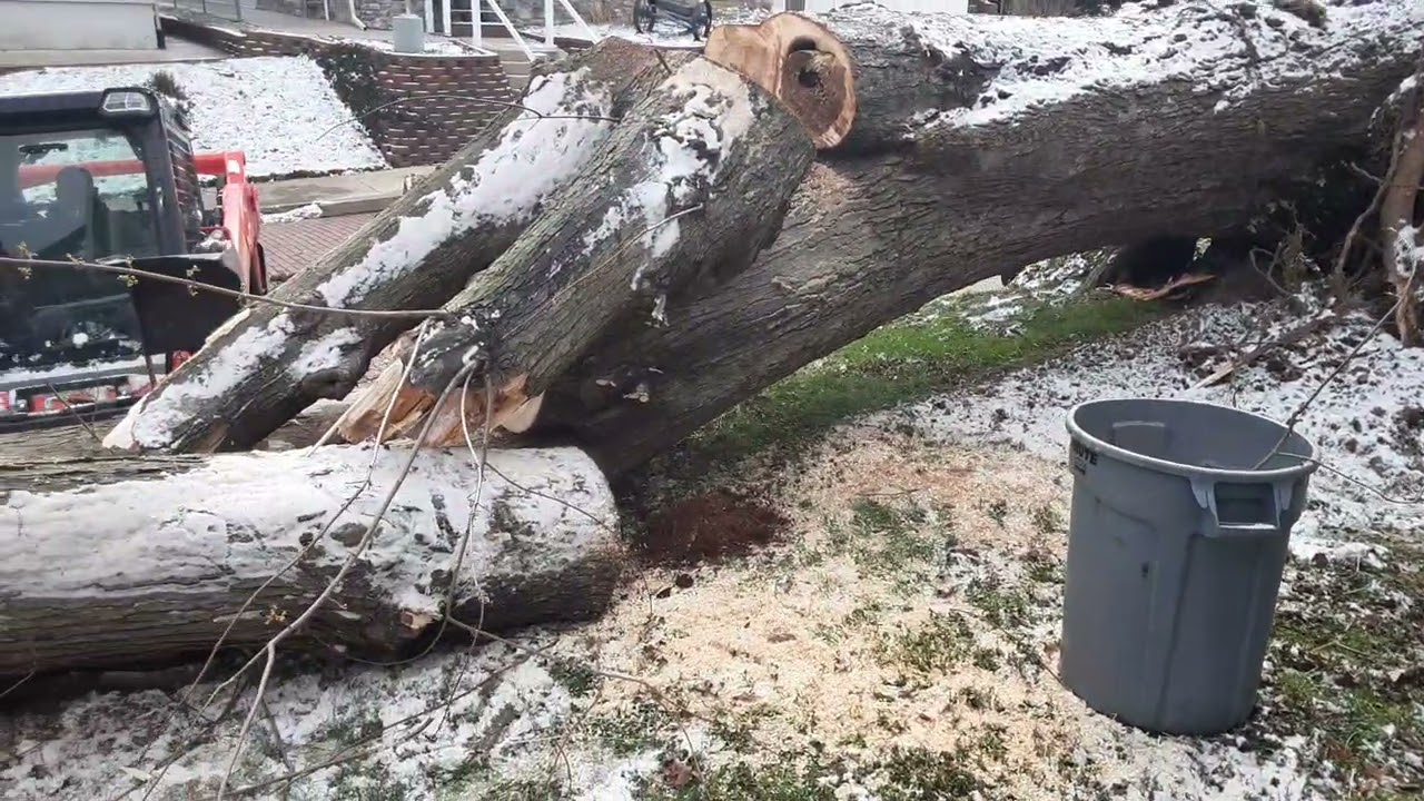 1st choice R&R Tree Svc.. Neighbors tree fell across our yard. 5 stars 937 572 9846 