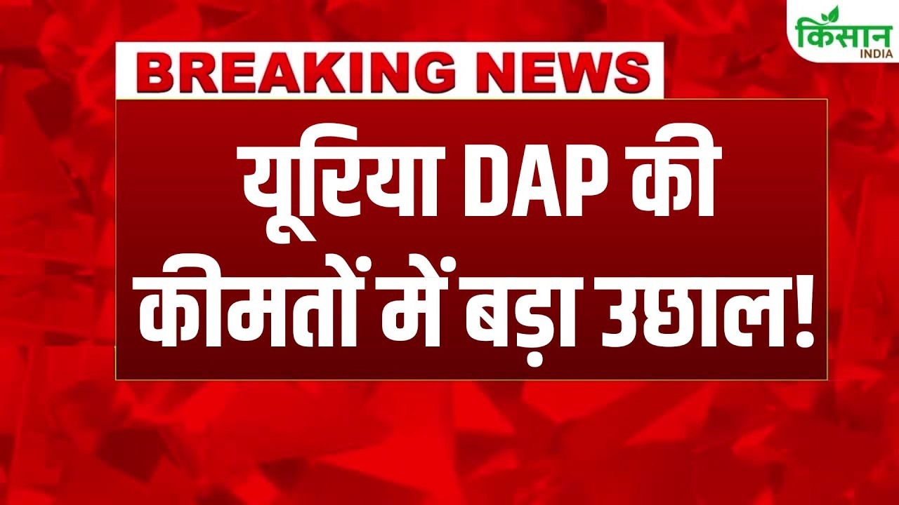 Urea DAP Price Hike: Major Alert for Farmers Regarding Fertilizer, Massive Surge in Urea and DAP ...