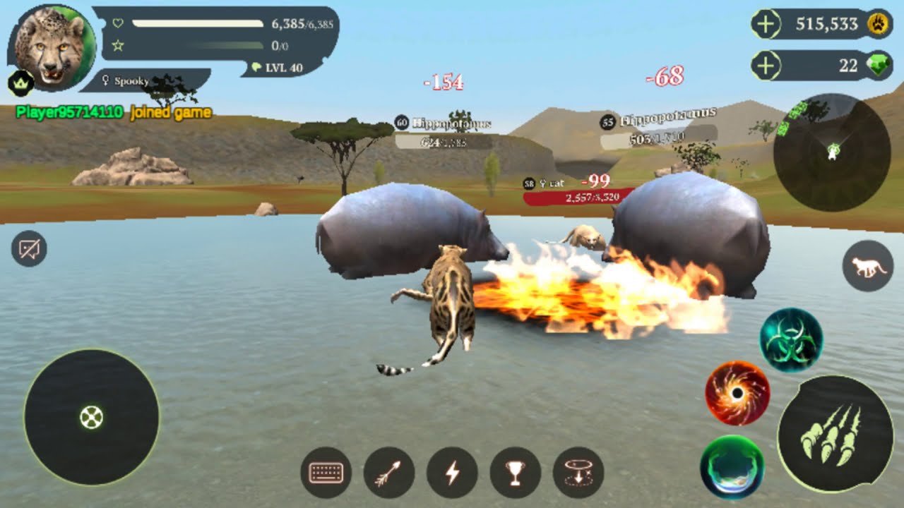 The Cheetah Online Simulator