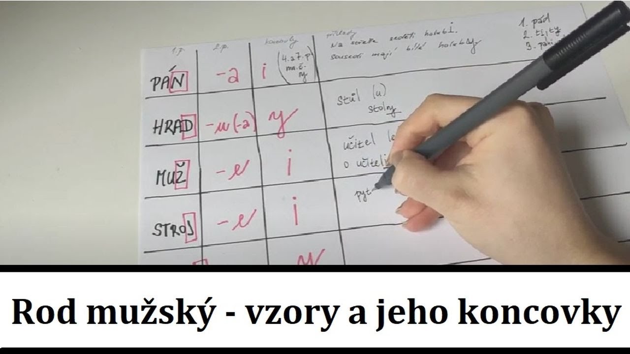 Rod mužský - vzory a jeho koncovky