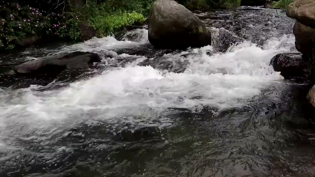 River Sounds for Sleeping and Meditation | Peaceful Water Ambience for Stress-Free Living #nature