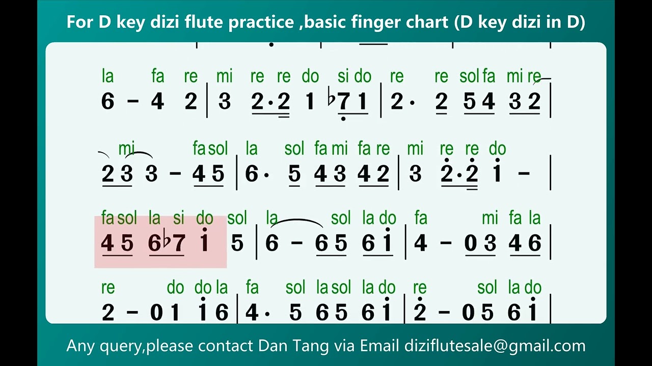 《Wu Ji-无羁》Video Score For D Key Dizi Flute