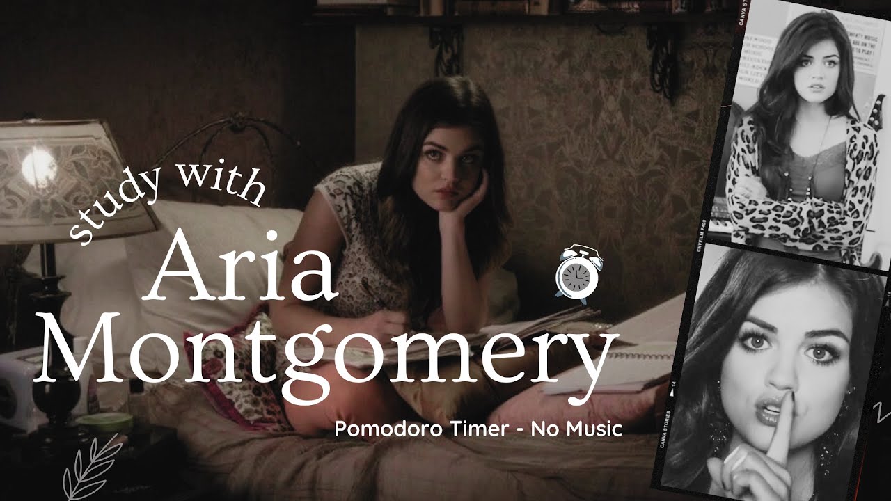 Study With Aria Montgomery (Pretty Little Liars) and some cracking fire | Pomodoro Timer, No Music