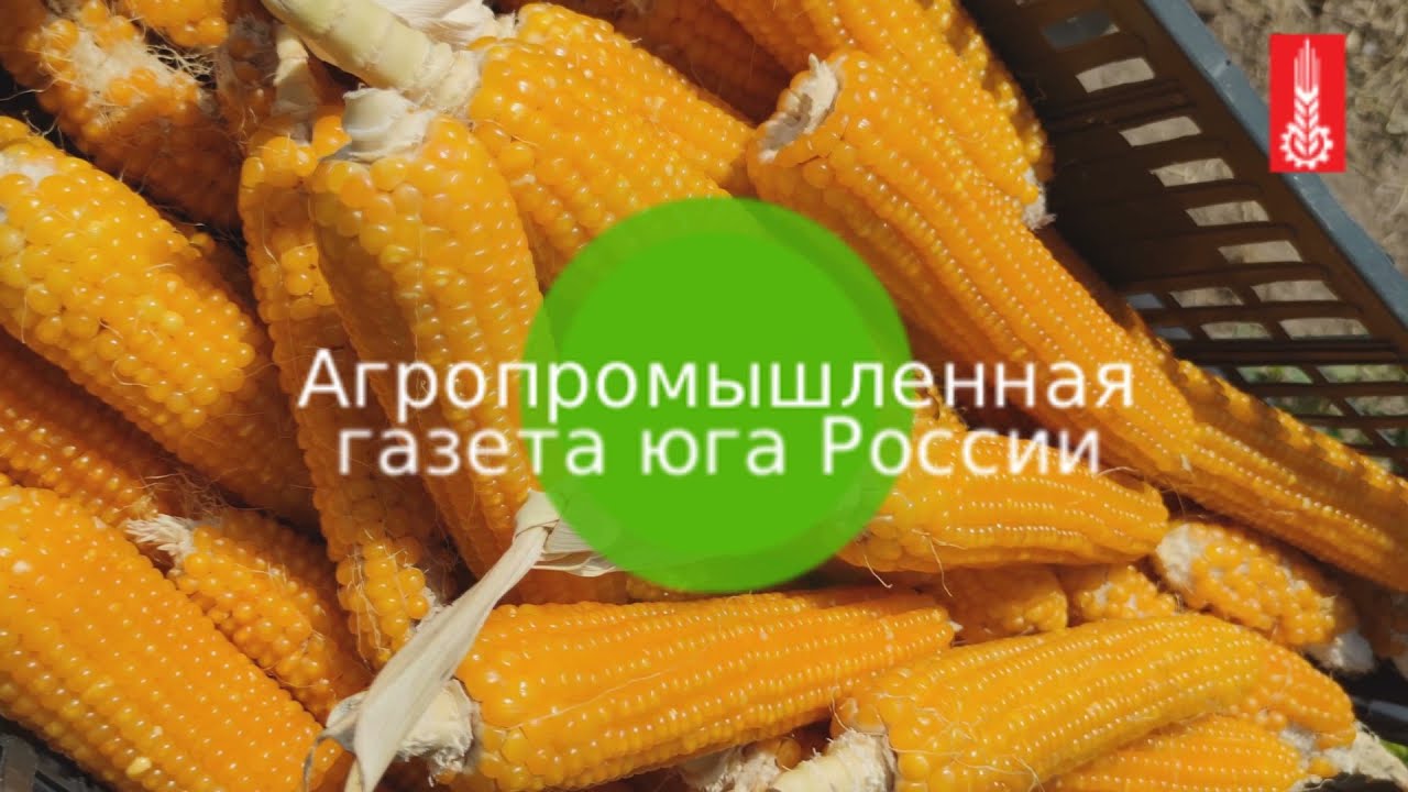 Итоги 