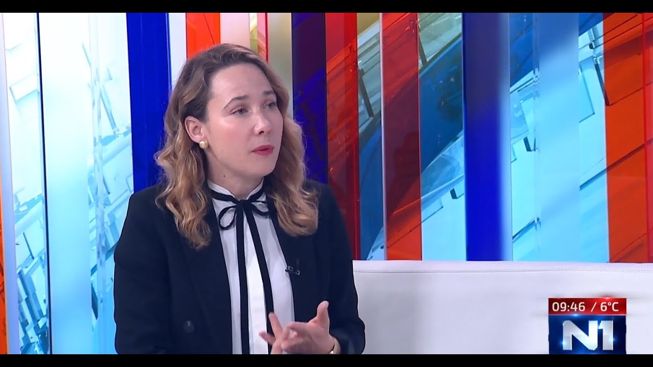 Selak Raspudić: Možemo ili radi za Plenkovića ili su idioti u političkom smislu