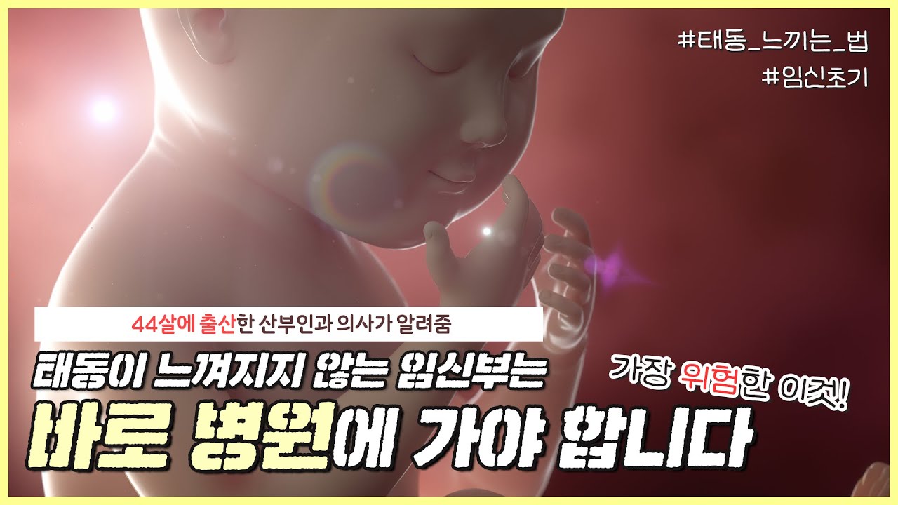 태동이 너무 활발한 아기도 괜찮은가요..?🤔｜놓치면 안 되는 태동! 체크하는 방법✔️｜태동이 없으면 위험한 이유👩🏻‍⚕️ - [노노산부인과 ep59]