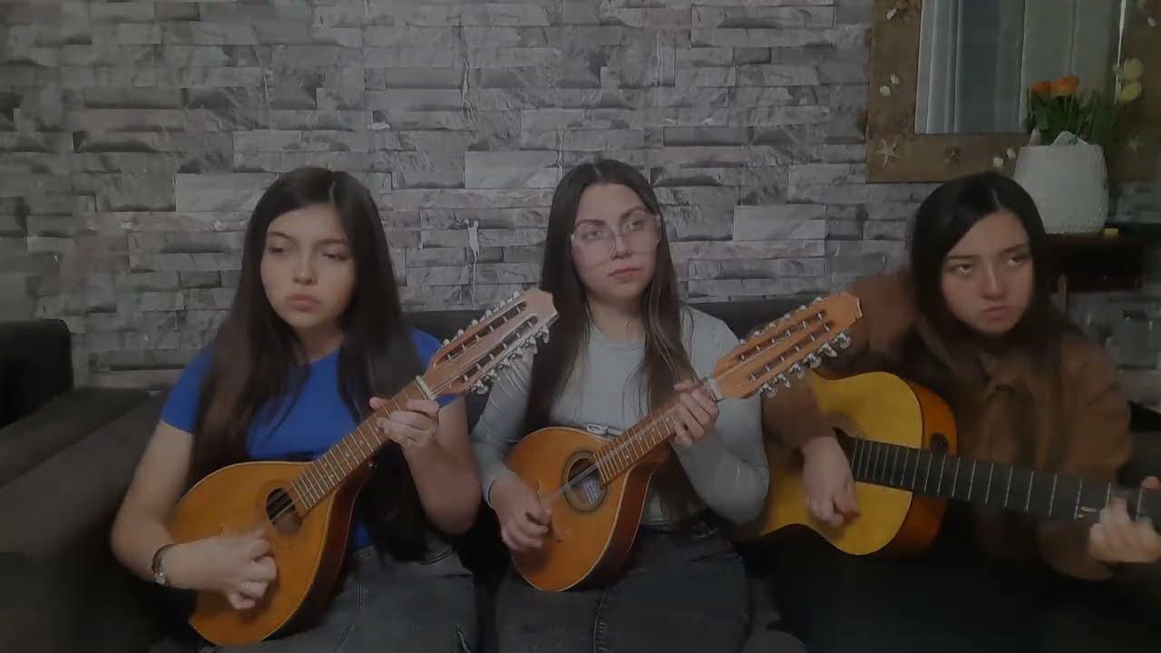 Has guardado silencio | Guitarra y Mandolina 