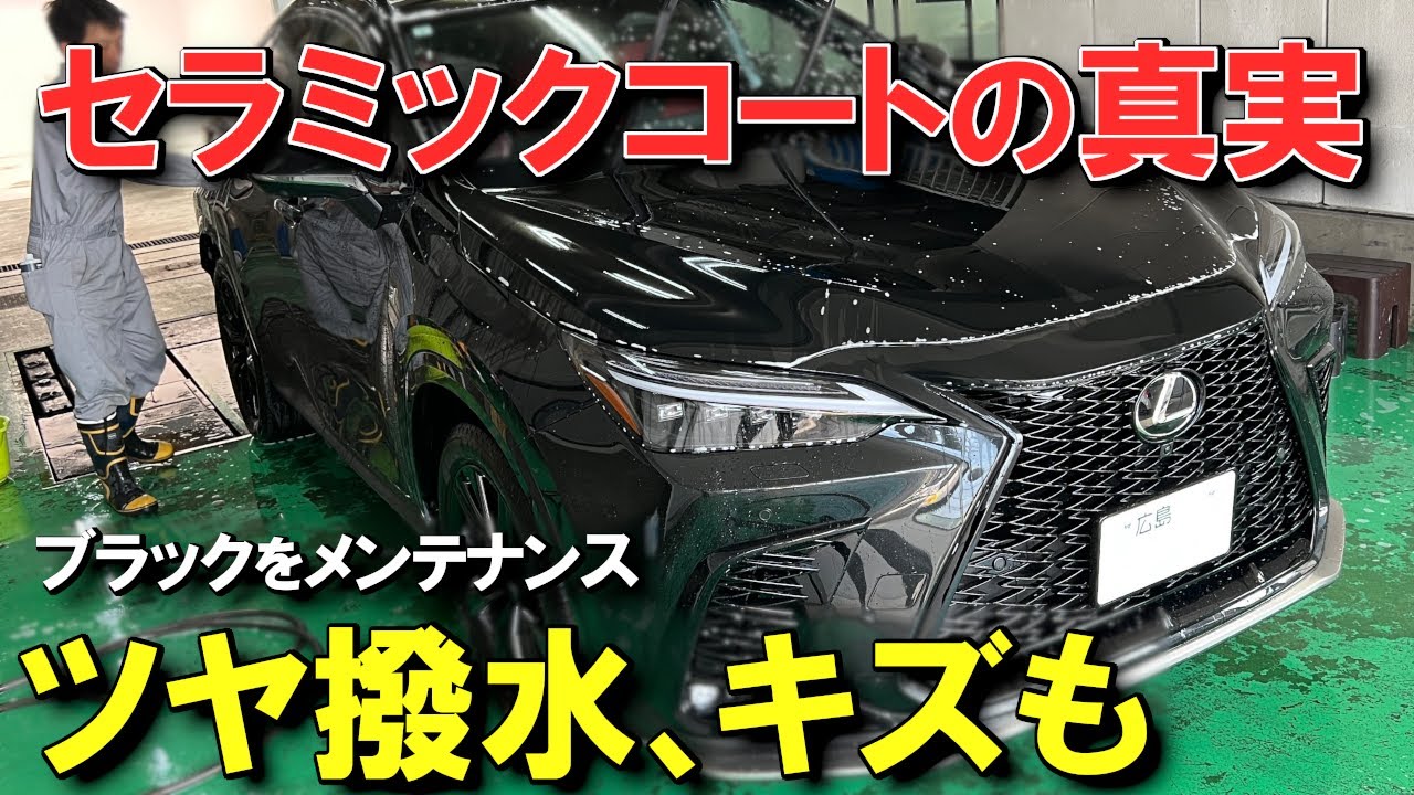 【最強セラミック施工から1年、驚きの結果に…】レクサスNX コーティングメンテナンス