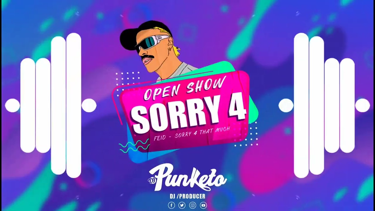 Feid SORRY 4  Open Show Remix DJ PUNKETO