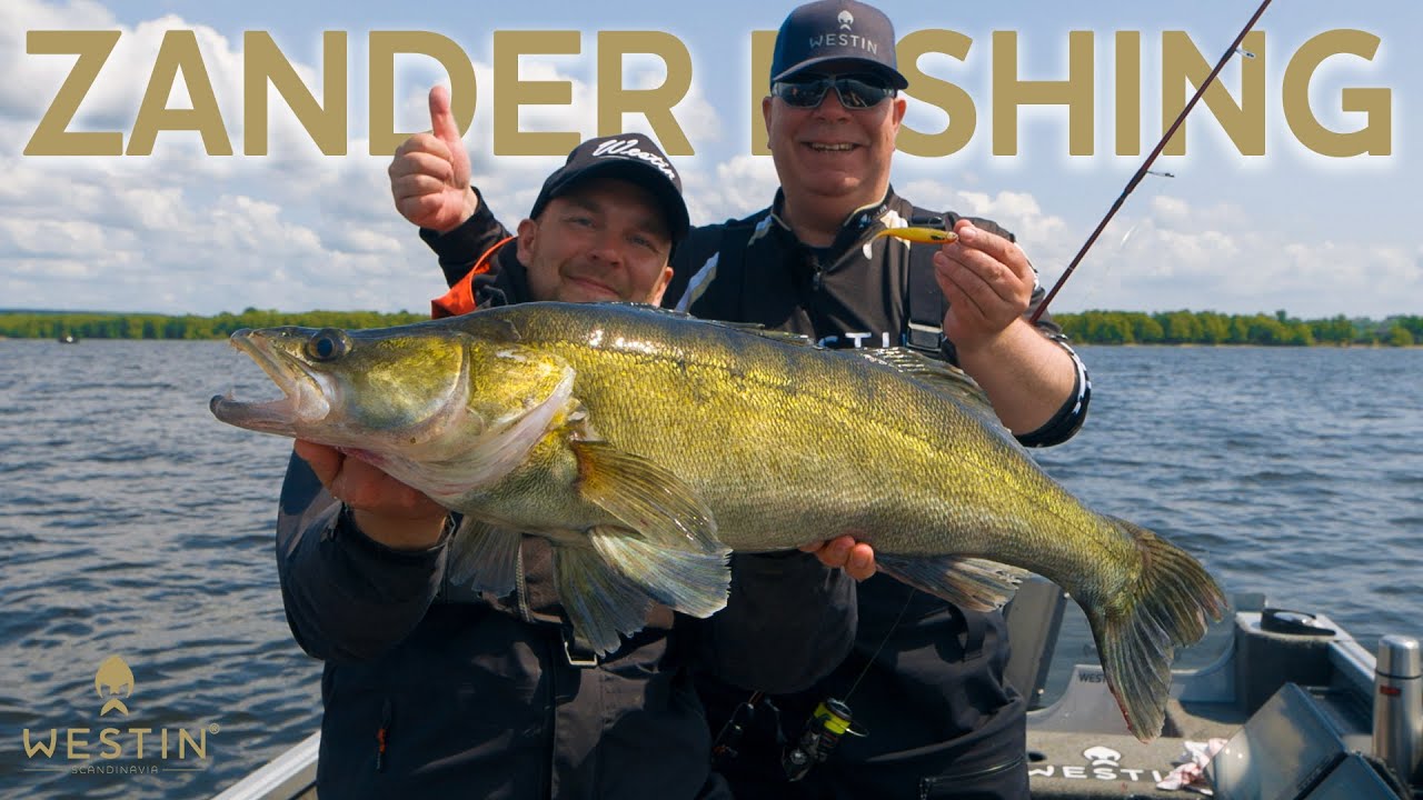 Jig Fishing for Zander | Westin Fishing