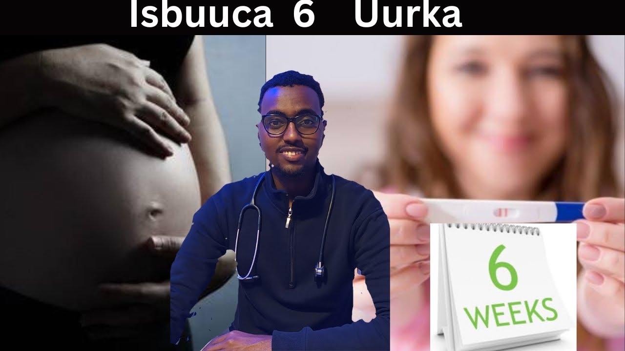 ISBUUCA 6 EE UURKA: MAXAA LA FILAYAA