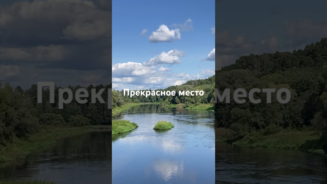 #подмосковье