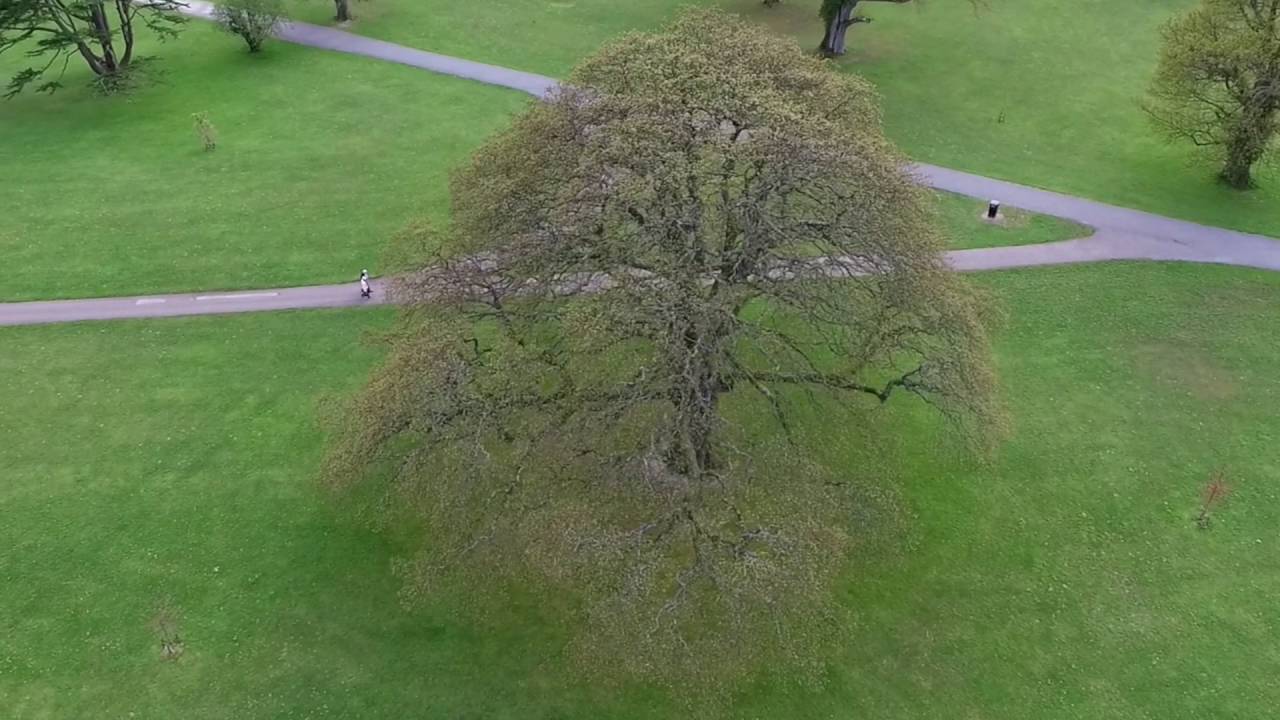 The Changing of the Seasons