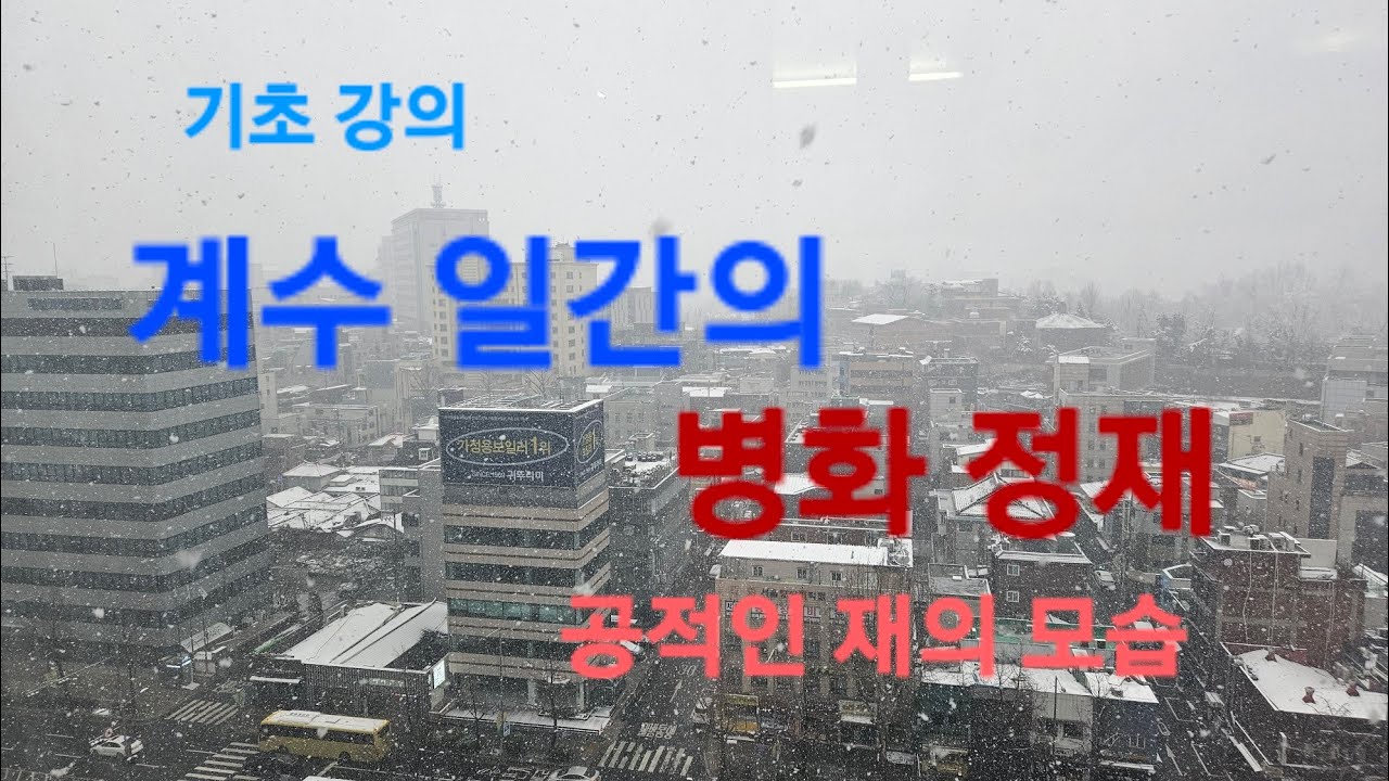 [ 기초 강의 ] 계수일간의 병화 정재. 