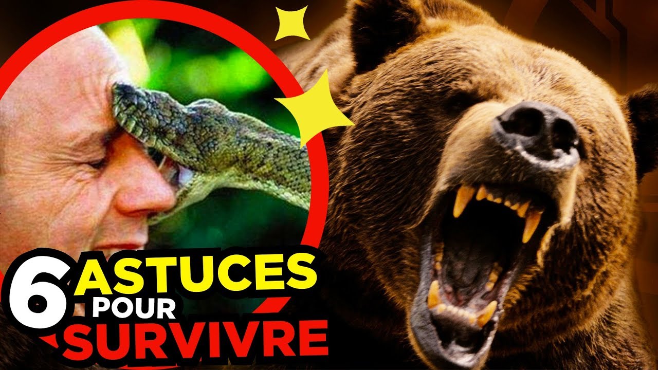 6 ASTUCES pour SURVIVRE AUX ANIMAUX SAUVAGES
