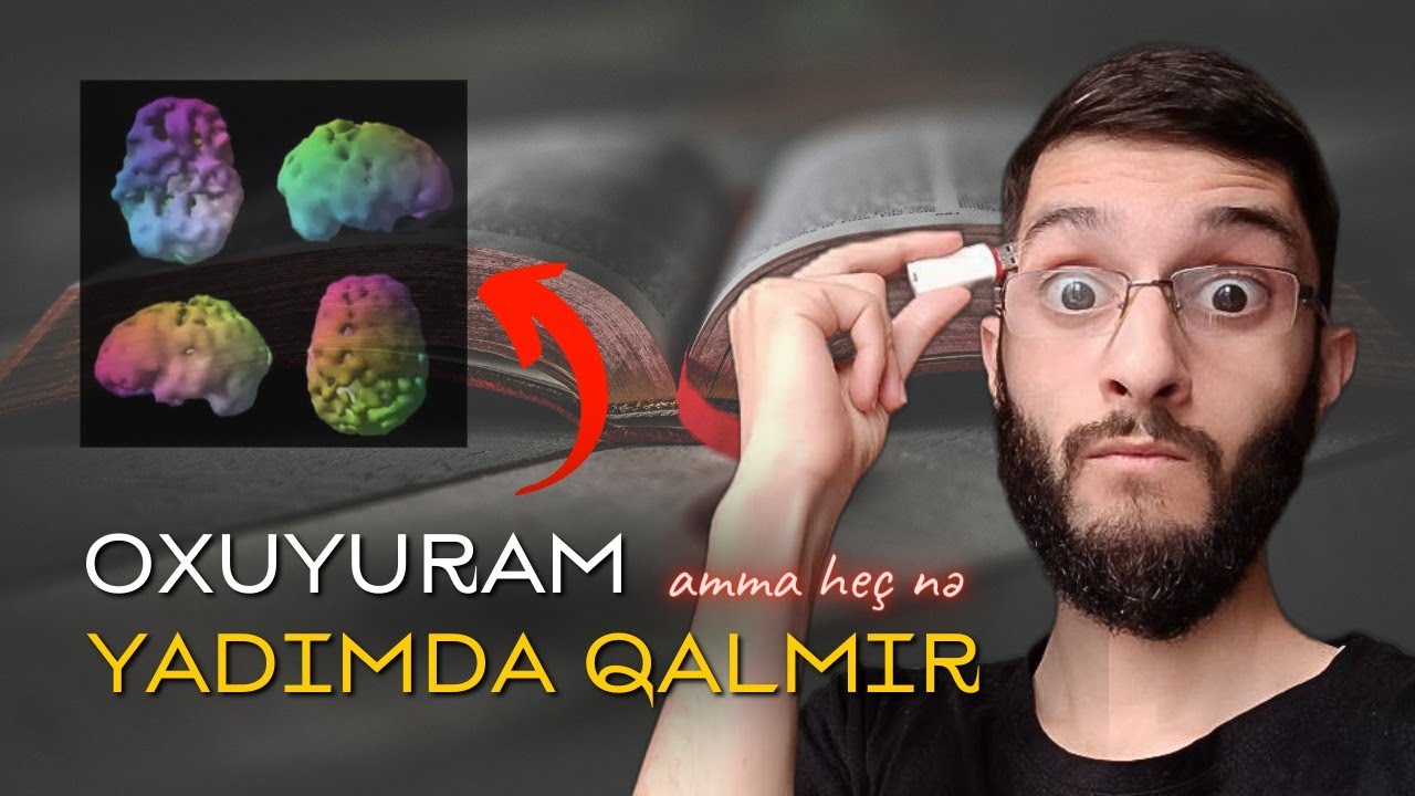 YADDAŞ PROBLEMİNİ UNUT 🧠 | Feynman Metodu | EBBİNHAUZ ƏYRİSİ 📉